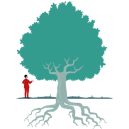 Illustration of Tree with Roots and person